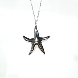 base_edcasdcsdicion Collar estrella grande plateada marina