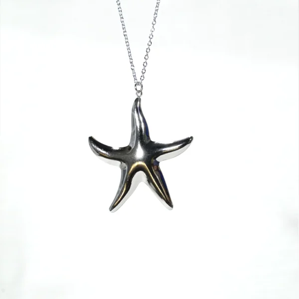 base_edcasdcsdicion Collar estrella grande plateada marina