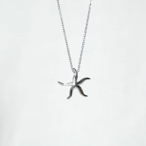 base_edicscsdion Collar estrella de mar acero inoxidable plateado