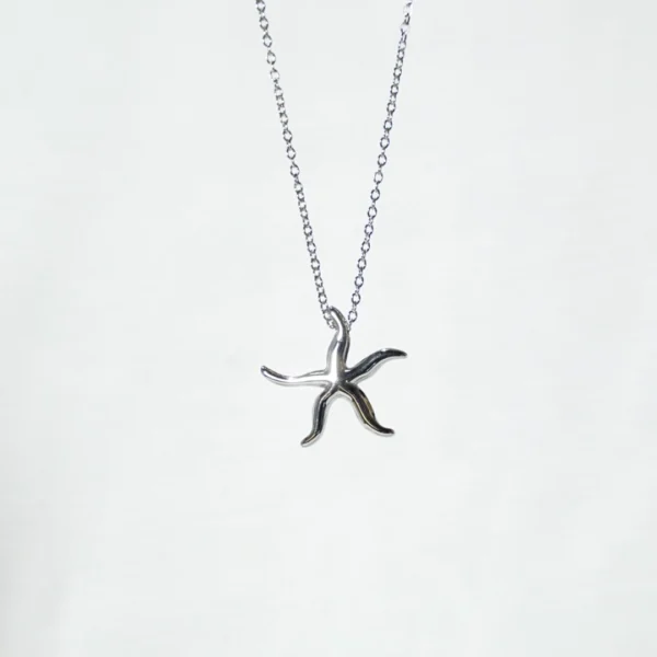 base_edicscsdion Collar estrella de mar acero inoxidable plateado