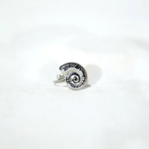 base_edsdfcasicion Anillo Caracola Ajustable Plateado