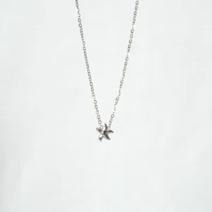 base_edsvfvdicion Collar mini estrella de mar acero inoxidable