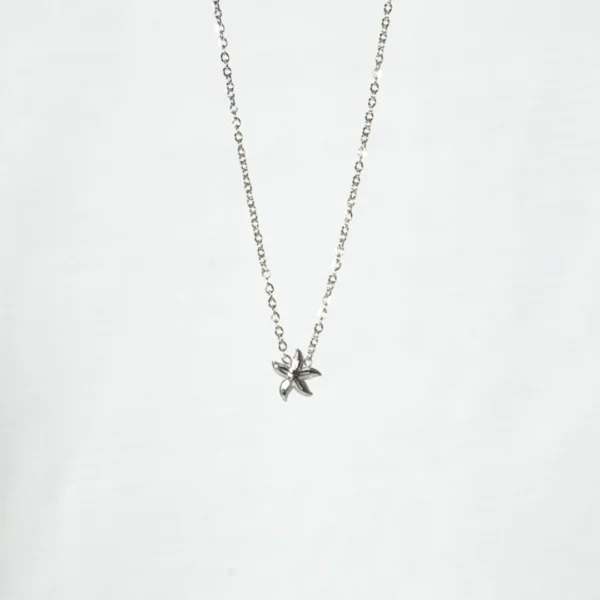base_edsvfvdicion Collar mini estrella de mar acero inoxidable