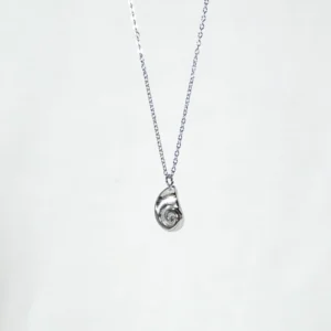 base_edvsdfvdicion Collar concha espiral acero inoxidable plateado