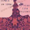 quesemblaunsomni_marcadeagua Que sembla un somni però està passant ilustración original